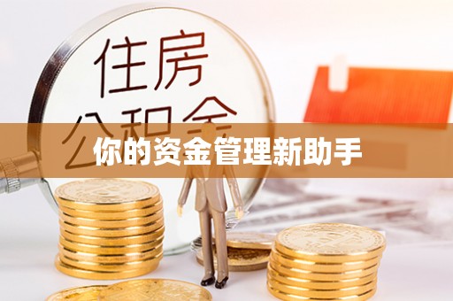河池你的资金管理新助手