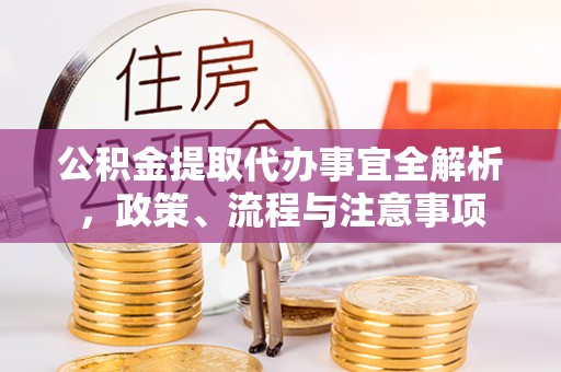 河池公积金提取代办事宜全解析，政策、流程与注意事项
