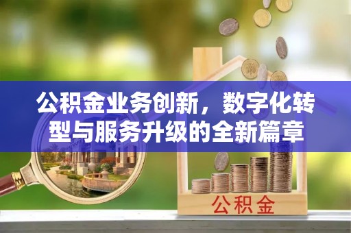 河池公积金业务创新，数字化转型与服务升级的全新篇章