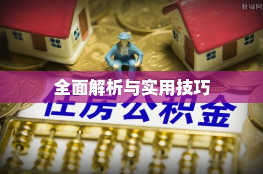 河池全面解析与实用技巧