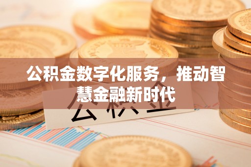 河池公积金数字化服务，推动智慧金融新时代
