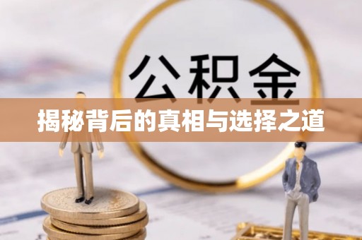 河池揭秘背后的真相与选择之道