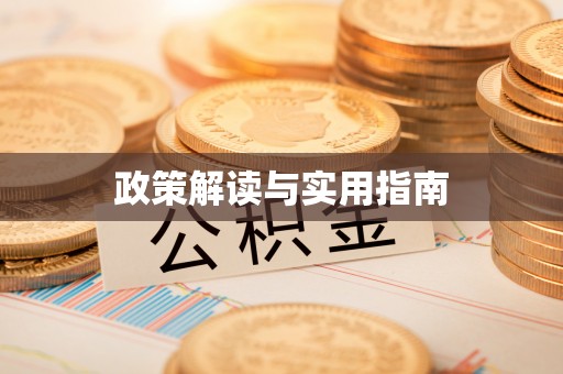 河池政策解读与实用指南