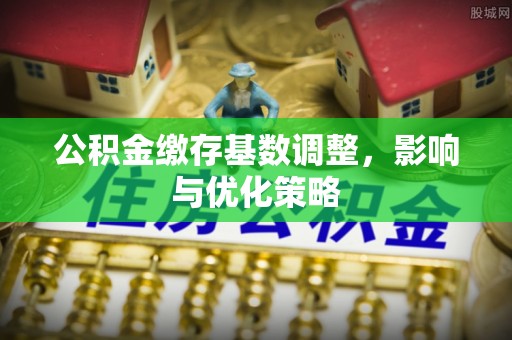 河池公积金缴存基数调整，影响与优化策略
