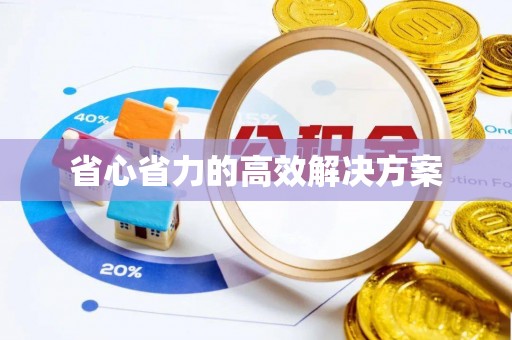 河池省心省力的高效解决方案