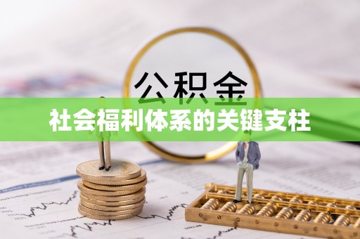 河池社会福利体系的关键支柱