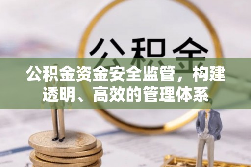 河池公积金资金安全监管，构建透明、高效的管理体系