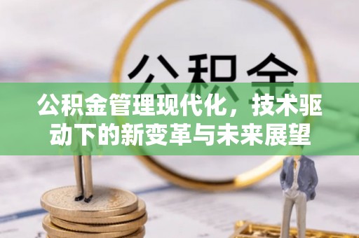 河池公积金管理现代化，技术驱动下的新变革与未来展望