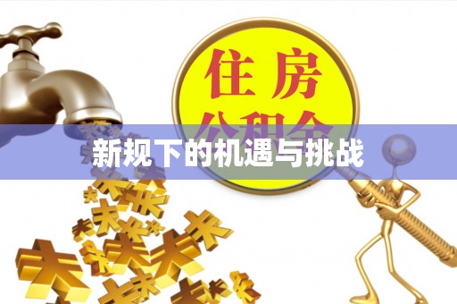 河池新规下的机遇与挑战