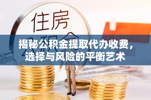 河池揭秘公积金提取代办收费，选择与风险的平衡艺术