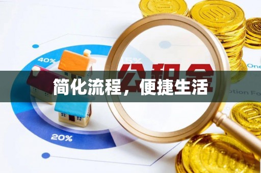河池简化流程，便捷生活