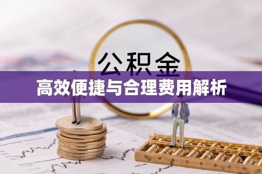 河池高效便捷与合理费用解析
