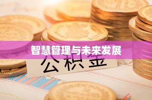 河池智慧管理与未来发展