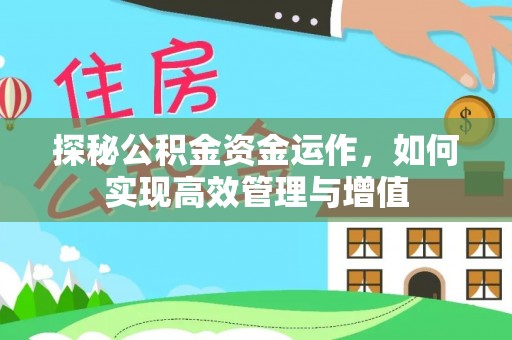 河池探秘公积金资金运作，如何实现高效管理与增值