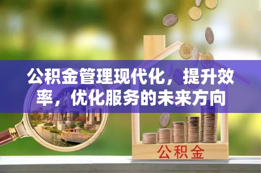 河池公积金管理现代化，提升效率，优化服务的未来方向