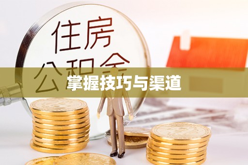 河池掌握技巧与渠道