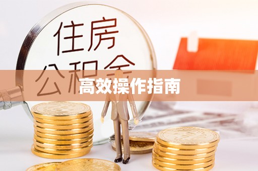 河池高效操作指南