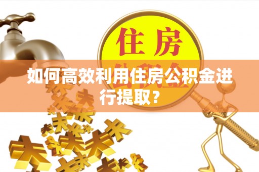 河池如何高效利用住房公积金进行提取？