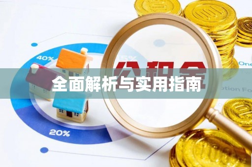 河池全面解析与实用指南