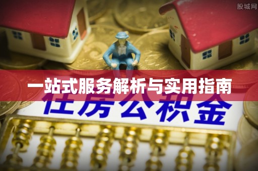河池一站式服务解析与实用指南