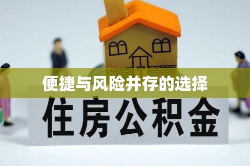 河池便捷与风险并存的选择