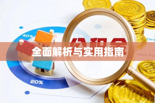 河池全面解析与实用指南