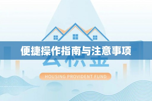 河池便捷操作指南与注意事项