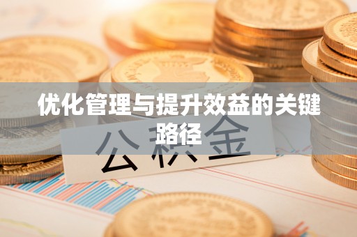 河池优化管理与提升效益的关键路径