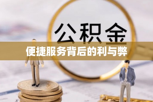 河池便捷服务背后的利与弊