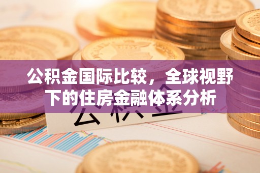 河池公积金国际比较，全球视野下的住房金融体系分析